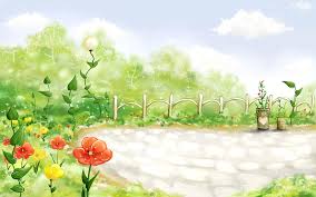 trongthuy.dinh