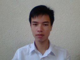 toannvseo