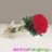 oneone0704